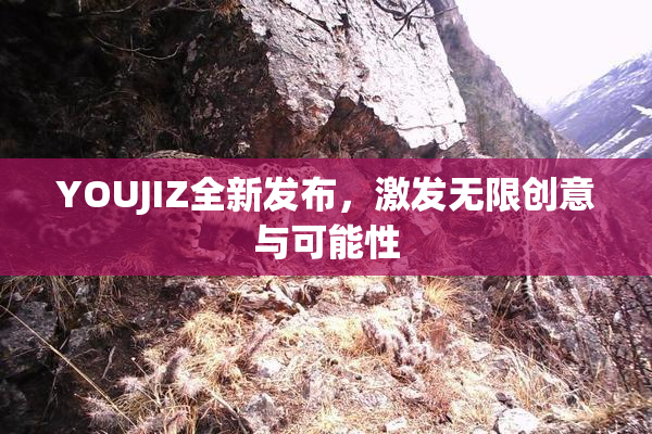 YOUJIZ全新发布，激发无限创意与可能性