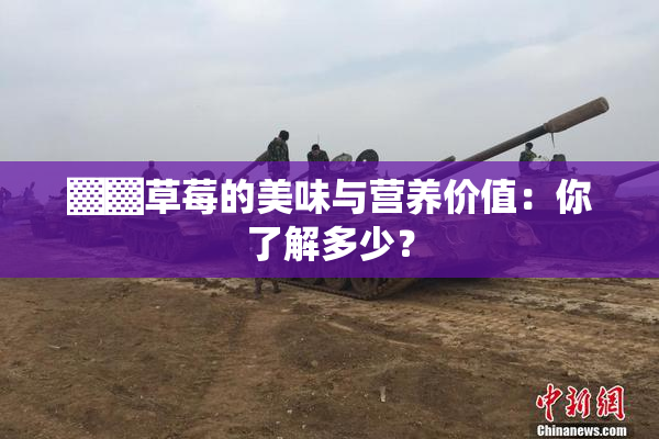 ▓▓草莓的美味与营养价值：你了解多少？