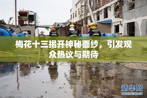 梅花十三揭开神秘面纱，引发观众热议与期待