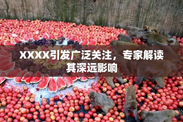 XXXX引发广泛关注，专家解读其深远影响