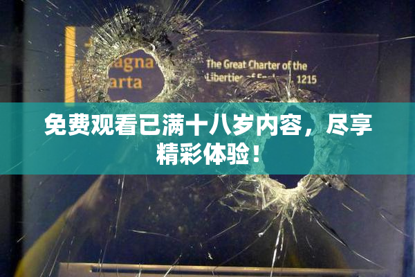 免费观看已满十八岁内容，尽享精彩体验！