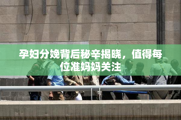 孕妇分娩背后秘辛揭晓，值得每位准妈妈关注