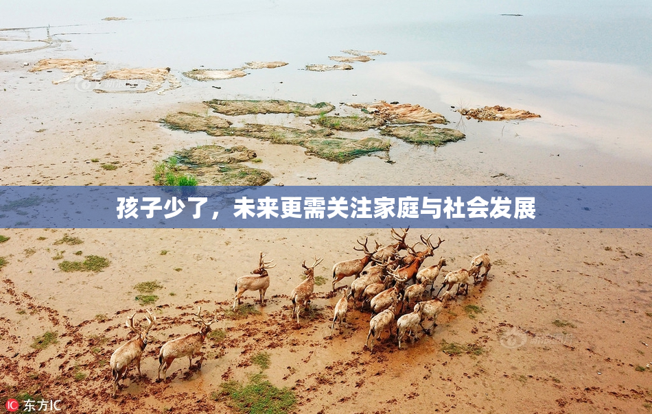 孩子少了，未来更需关注家庭与社会发展