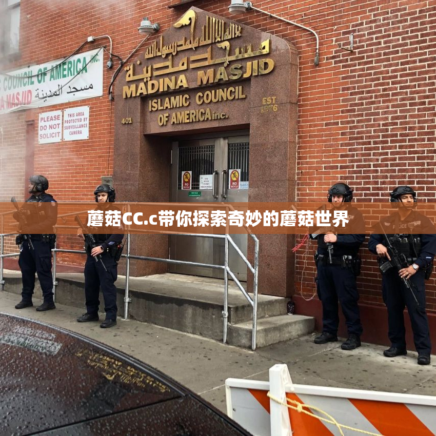 蘑菇CC.c带你探索奇妙的蘑菇世界