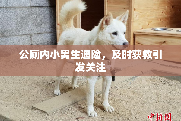 公厕内小男生遇险，及时获救引发关注