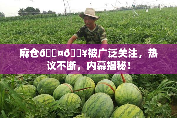 麻仓🖤🔥被广泛关注，热议不断，内幕揭秘！