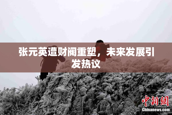 张元英遭财阀重塑，未来发展引发热议
