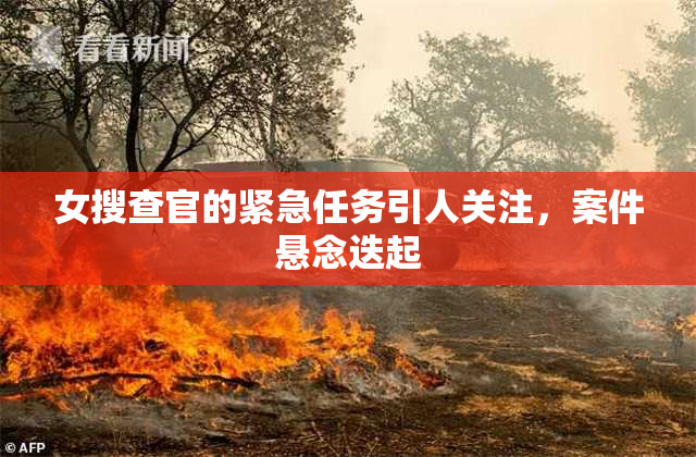 女搜查官的紧急任务引人关注，案件悬念迭起