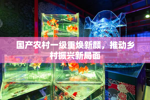 国产农村一级重焕新颜，推动乡村振兴新局面