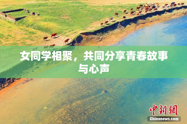 女同学相聚，共同分享青春故事与心声