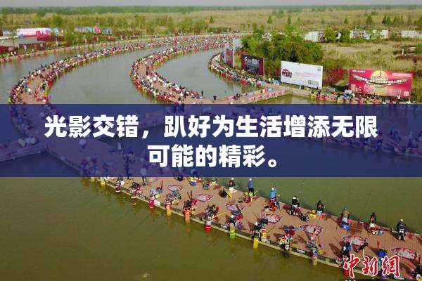 光影交错，趴好为生活增添无限可能的精彩。