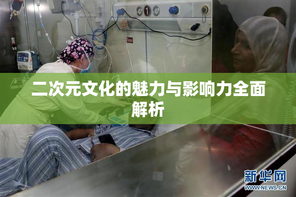 二次元文化的魅力与影响力全面解析