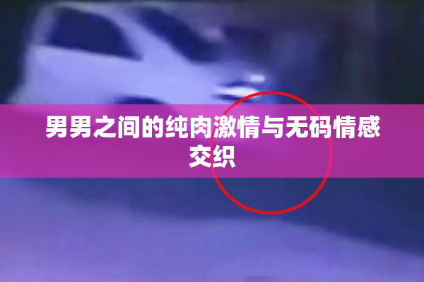 男男之间的纯肉激情与无码情感交织