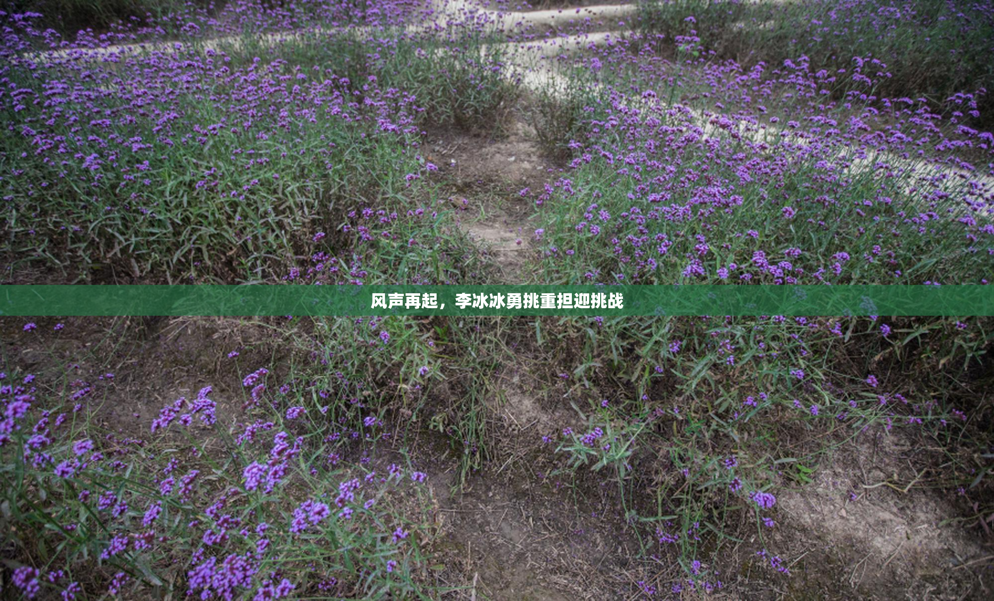 风声再起，李冰冰勇挑重担迎挑战