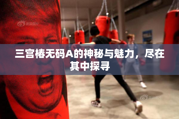 三宫椿无码A的神秘与魅力，尽在其中探寻