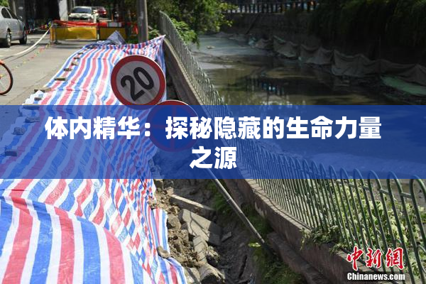 体内精华：探秘隐藏的生命力量之源