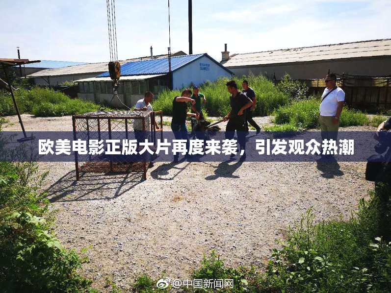 欧美电影正版大片再度来袭，引发观众热潮