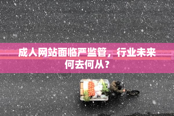 成人网站面临严监管，行业未来何去何从？