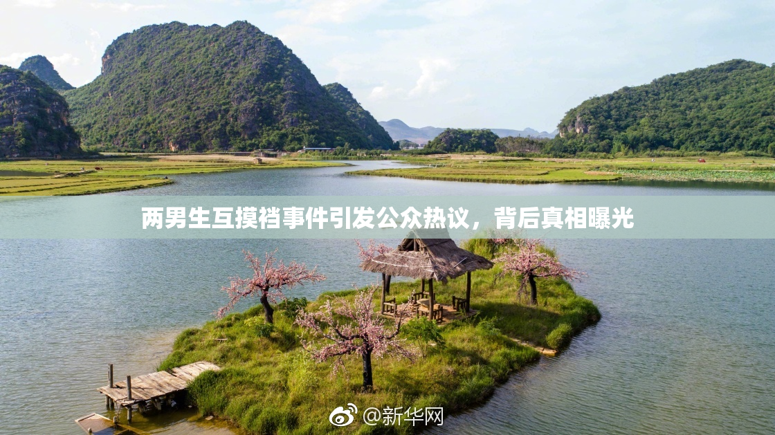 两男生互摸裆事件引发公众热议，背后真相曝光
