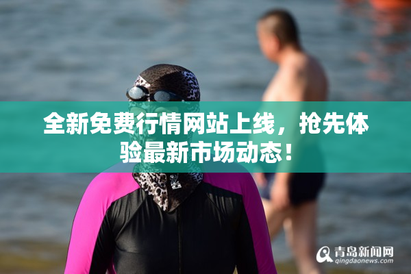全新免费行情网站上线，抢先体验最新市场动态！