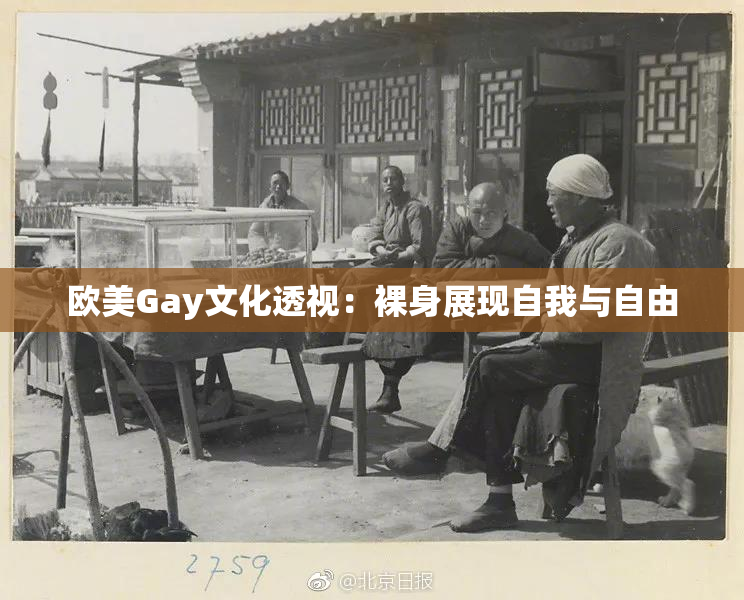 欧美Gay文化透视：裸身展现自我与自由