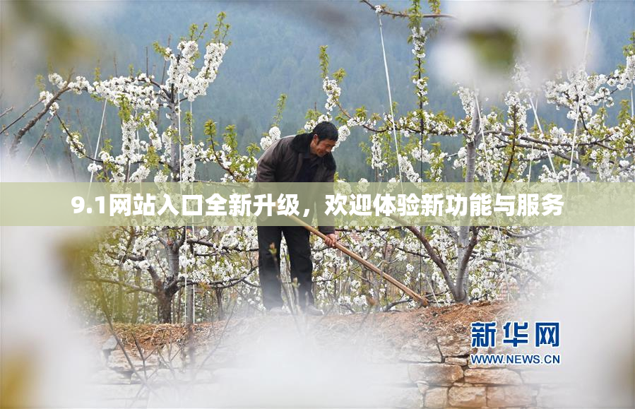 9.1网站入口全新升级，欢迎体验新功能与服务