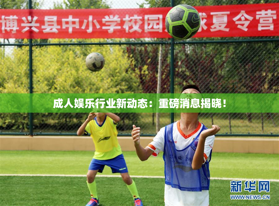 成人娱乐行业新动态：重磅消息揭晓！