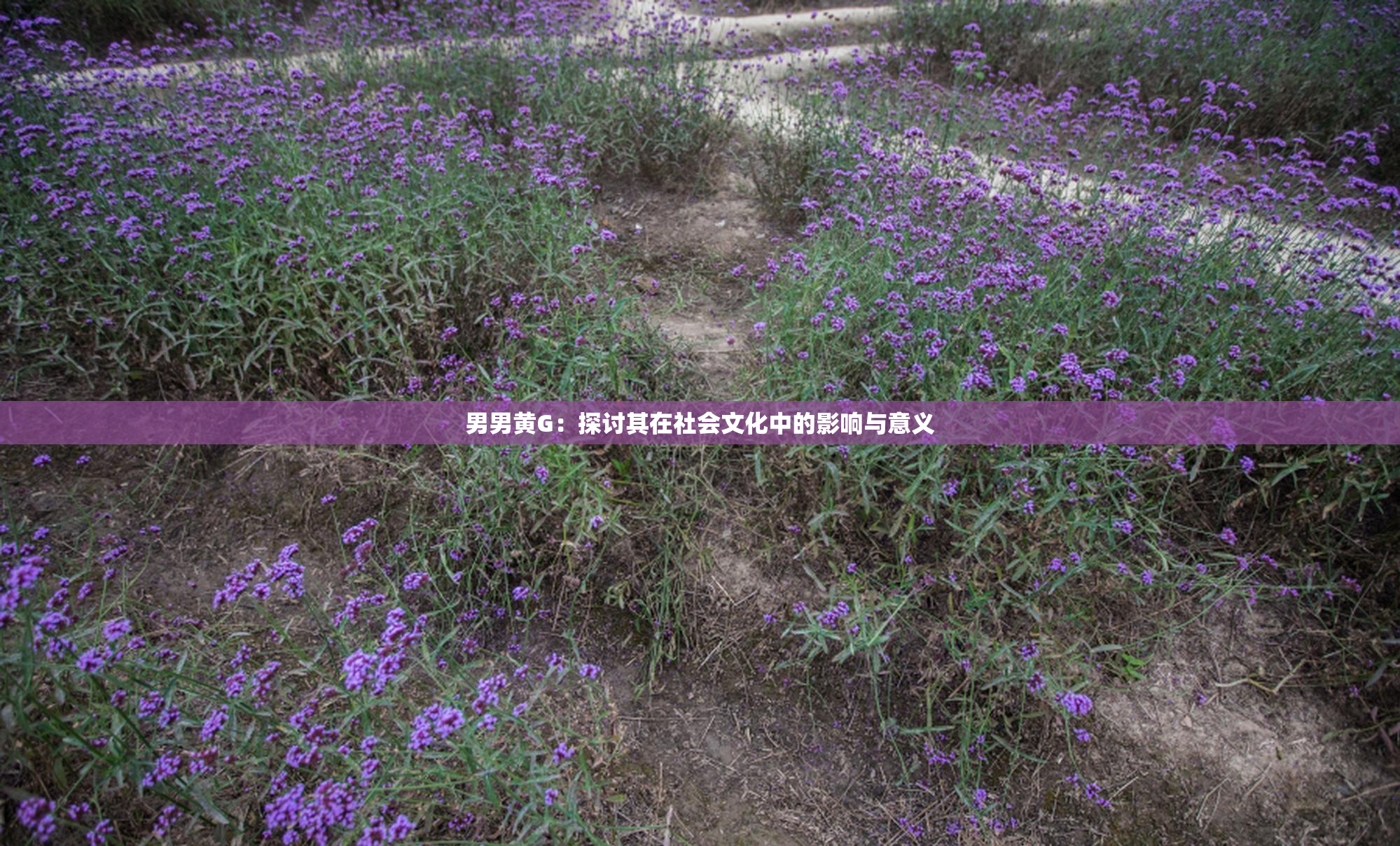 男男黄G：探讨其在社会文化中的影响与意义