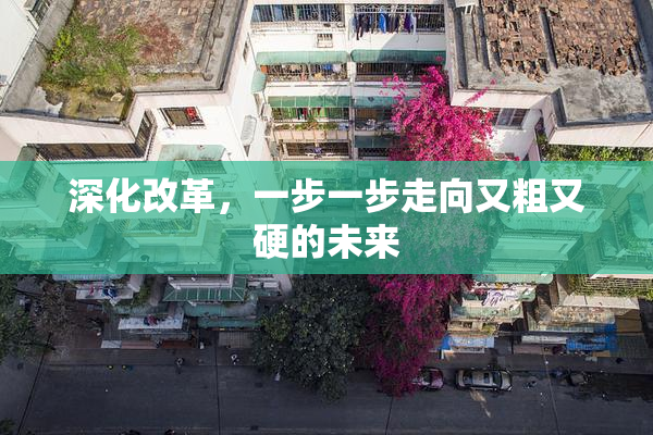 深化改革，一步一步走向又粗又硬的未来