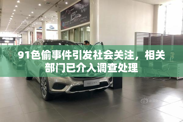 91色偷事件引发社会关注，相关部门已介入调查处理