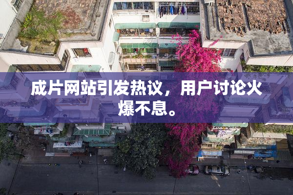 成片网站引发热议，用户讨论火爆不息。