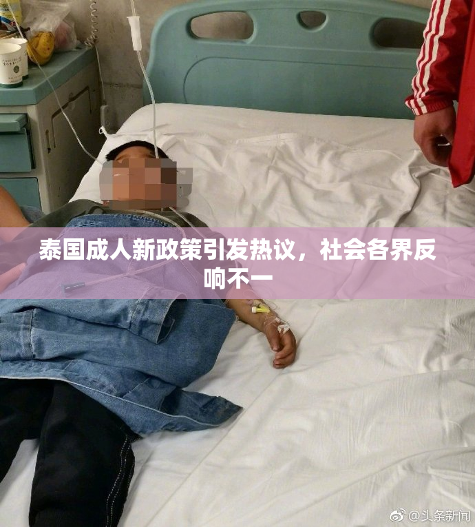泰国成人新政策引发热议，社会各界反响不一