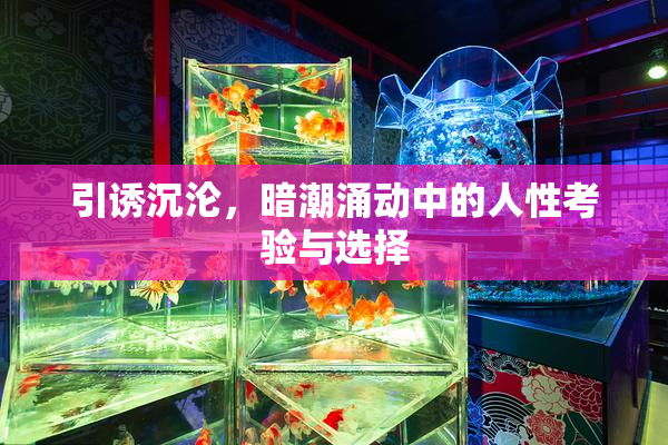 引诱沉沦，暗潮涌动中的人性考验与选择