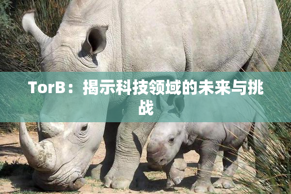 TorB：揭示科技领域的未来与挑战