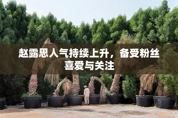 赵露思人气持续上升，备受粉丝喜爱与关注