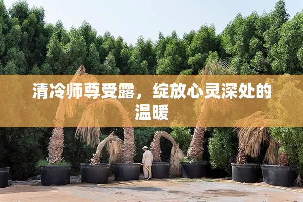 清冷师尊受露，绽放心灵深处的温暖