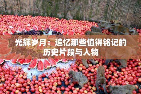 光辉岁月：追忆那些值得铭记的历史片段与人物
