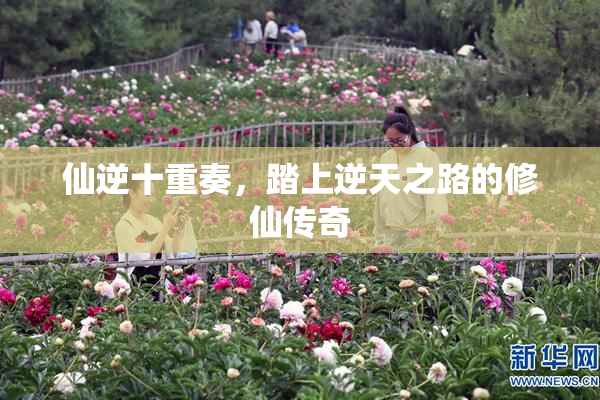 仙逆十重奏，踏上逆天之路的修仙传奇