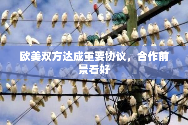 欧美双方达成重要协议，合作前景看好