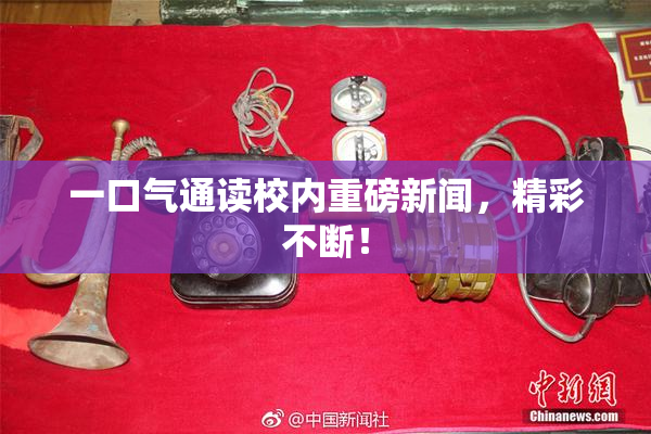 一口气通读校内重磅新闻，精彩不断！