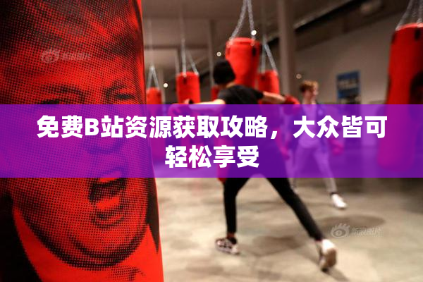 免费B站资源获取攻略，大众皆可轻松享受