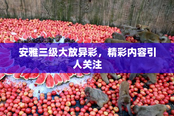 安雅三级大放异彩，精彩内容引人关注