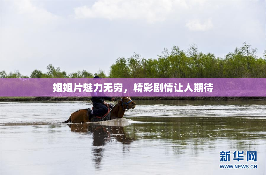 姐姐片魅力无穷，精彩剧情让人期待