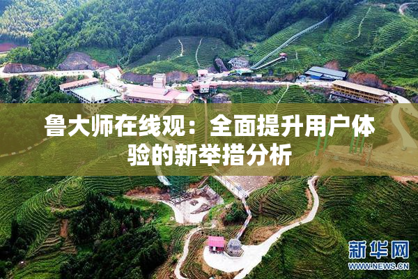 鲁大师在线观：全面提升用户体验的新举措分析