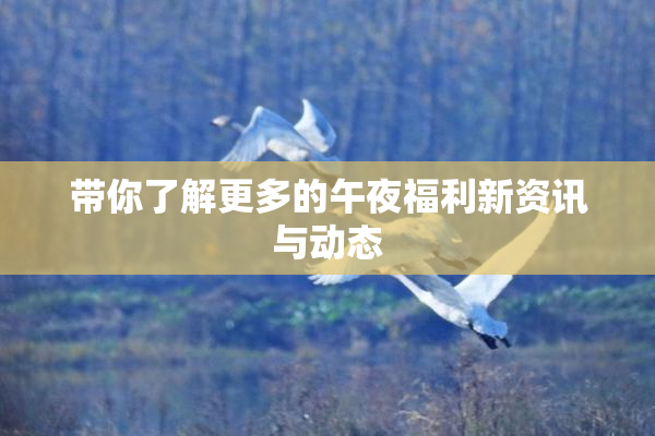 带你了解更多的午夜福利新资讯与动态