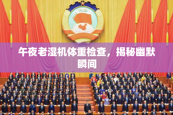 午夜老湿机体重检查，揭秘幽默瞬间