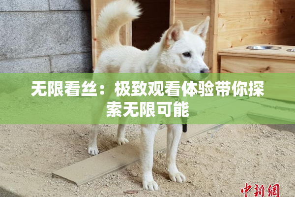 无限看丝：极致观看体验带你探索无限可能