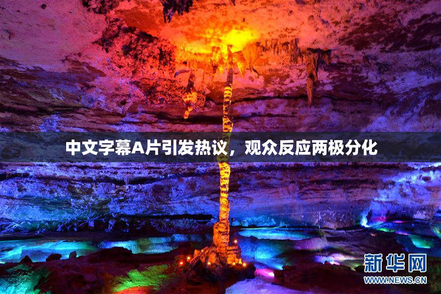 中文字幕A片引发热议，观众反应两极分化