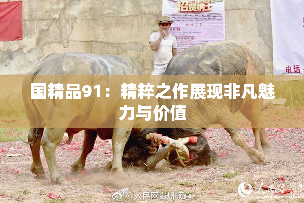 国精品91：精粹之作展现非凡魅力与价值