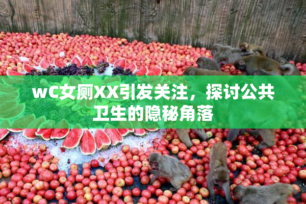 wC女厕XX引发关注，探讨公共卫生的隐秘角落